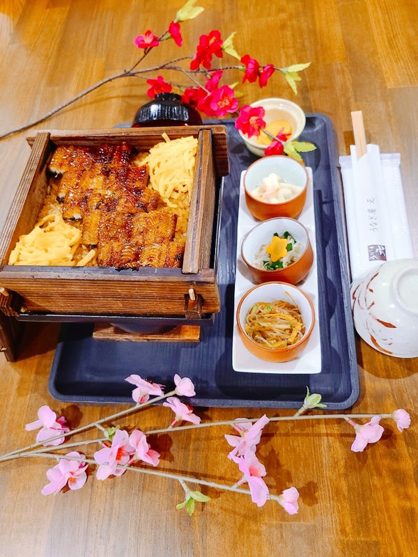 樹齢600年以上 黒木の大藤観賞と柳川川下り・うなぎのせいろ蒸し昼食 日帰りバスツアー🚌3